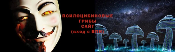 гашик Михайловск