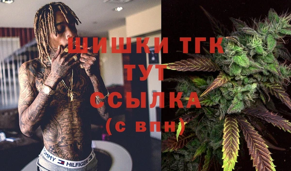 ГАЛЛЮЦИНОГЕННЫЕ ГРИБЫ Медвежьегорск