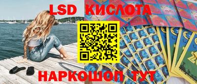 крисы Кинель