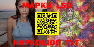 apvp Кингисепп