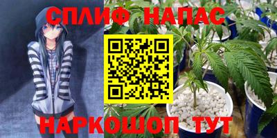 крисы Кинель