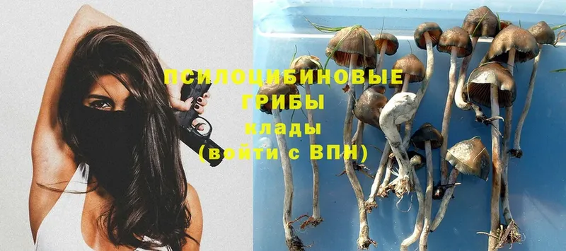 Галлюциногенные грибы MAGIC MUSHROOMS  Заречный 