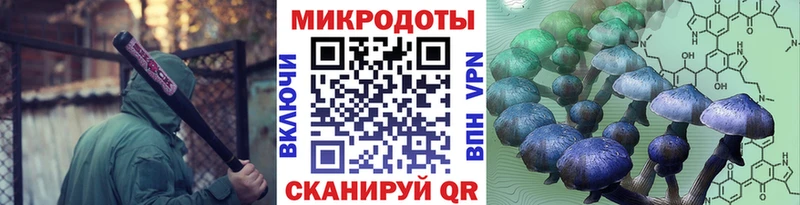 Псилоцибиновые грибы GOLDEN TEACHER  blacksprut зеркало  Заречный 