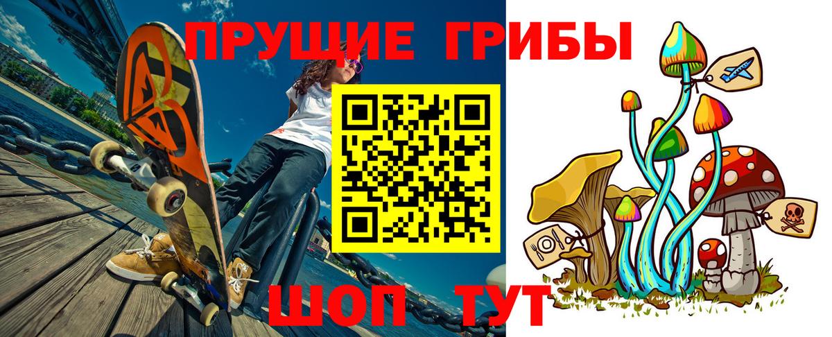 Заречный  Галлюциногенные грибы Magic Shrooms  Вход с VPN  Галлюциногенные грибы прущие грибы 